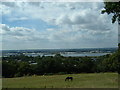 King George V Reservoir