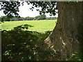 Farmland, east of  Bransgore