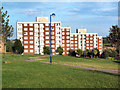 Flats on Dane Court Road, Holme Wood