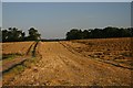 Byway to Wilsummer Wood