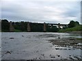 Disused Railway Bridge over the River Tay