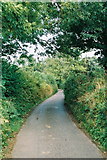 ST0814 : Culmstock: lane near Spiceland by Martin Bodman