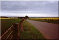 Hillside of Hedderwick