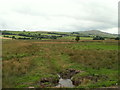 Bogland, near Glasfryn