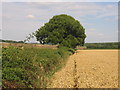 Bubbenhall - Wappenbury Footpath