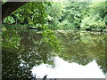 Lake, Brockhill Country Park