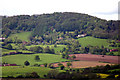 Abberley Hill from Heightington