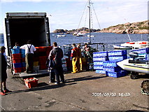 NM2923 : Jetty at Fionnphort, Ross of Mull by JaneMcArtney