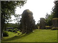 NR7832 : Saddell Abbey (remains), Kintyre by paul birrell