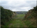 Gate on bridleway