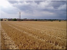 TL3457 : Stubble fields, Caldecote by David Gruar