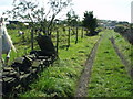 Green Lane, Bank Top, Southowram