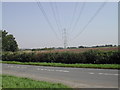 SK6845 : Pylons from the Caythorpe Road by Tom Courtney