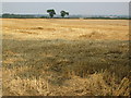 Harvested field near Ragdale, Leicestershire