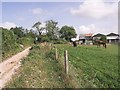 Watley Lane bridleway, with stables above Hensting Farm