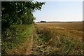 Footpath to Dalham