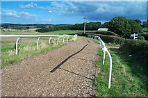 SX8064 : Horse gallops near Staverton by Richard Knights