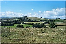 SX8166 : Country near Broadhempston by Richard Knights