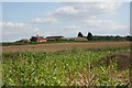 Farm near Northchapel