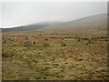 Stone Circle, Blakeley Moss, Ennerdale