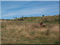 Clay Pigeon Shooting range on Otley Chevin