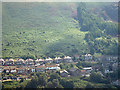 Mynydd Emroch Western Hillside