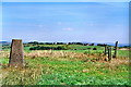 Trig point on Mellor Hill 783