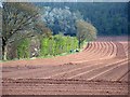 Wye Valley Walk, Ross-on-Wye