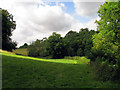 Pasture near Nettleton