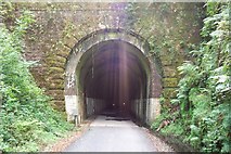 SX5364 : Shaugh Tunnel by Ron Strutt