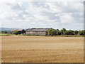 SP7508 : Farm buildings near Haddenham by David Hawgood