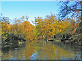 TQ4093 : Knighton Woods Pond by Brian Gotts