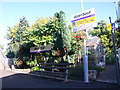 Aberdour Flower Show