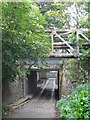 TQ1573 : Tunnel below the railway line in Twickenham by steve