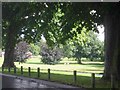 Green space in Boxmoor, Hemel Hempstead