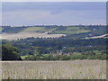 View From Park Barn Farm