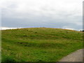 Motte and Bailey earthwork, Castlefields, Hartfield