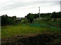 Allotments by the M60
