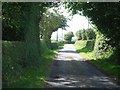 The lane between Stapleton and Lower Kinsham