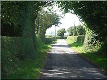 SO3264 : The lane between Stapleton and Lower Kinsham by Andrew Longton