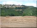 Fields, Limebrook Wood and the hill beyond