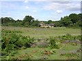 Appleslade Bottom, New Forest