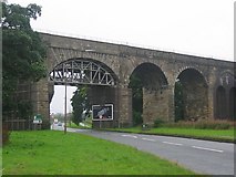 NT1072 : Viaduct, A89. by Richard Webb