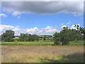 Meadows near Bramfield, Suffolk