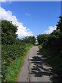 Old Railway line - Walberswick Common, Suffolk