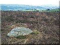 SE1143 : Cup marked rock, Bingley Moor by David Spencer