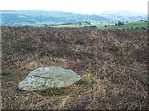SE1143 : Cup marked rock, Bingley Moor by David Spencer