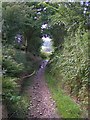 Byway between Chatterton Lane and Brook Bottom