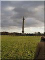 SP4317 : Column of Victory, Blenheim Estate by Dave Dunford