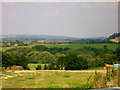 View of the Arun cutting its way through the South Downs